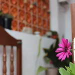 아파트 Casa Palitos Monte de Brena
