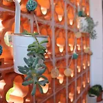 Casa Palitos 아파트