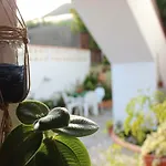 Casa Palitos 아파트