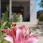 Casa Palitos Appartement Monte de Brena