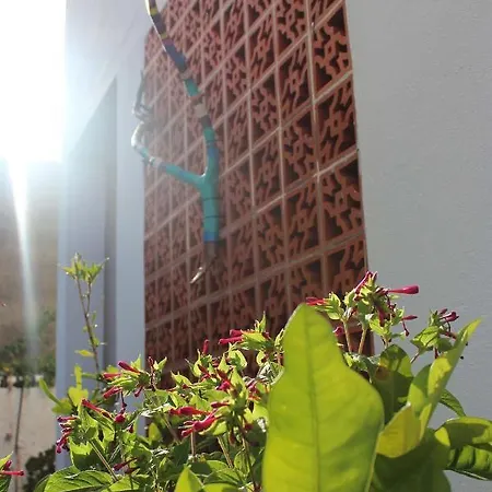 Casa Palitos 아파트 Monte de Brena