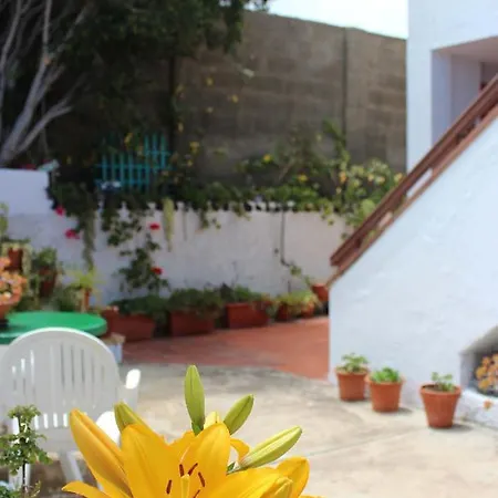 Casa Palitos *