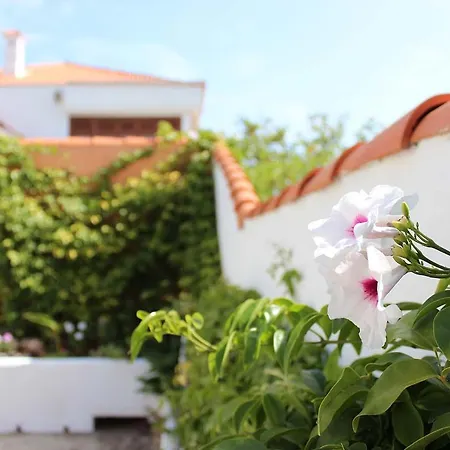 Apartment Casa Palitos