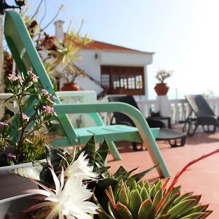 Casa Palitos *