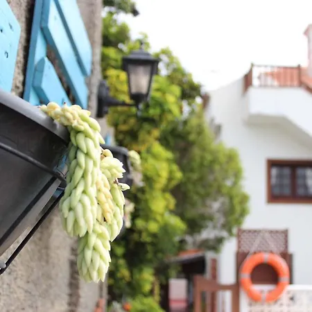 Casa Palitos Apartment Monte de Brena