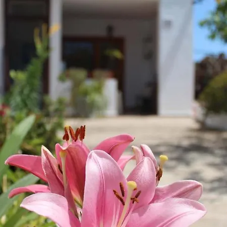 Casa Palitos Apartment Monte de Brena