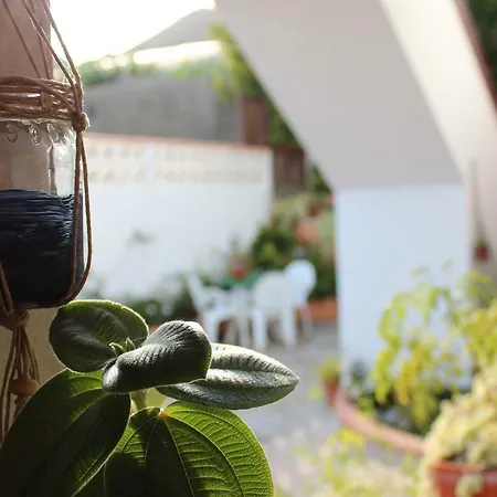 Casa Palitos 아파트