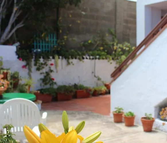 Casa Palitos *