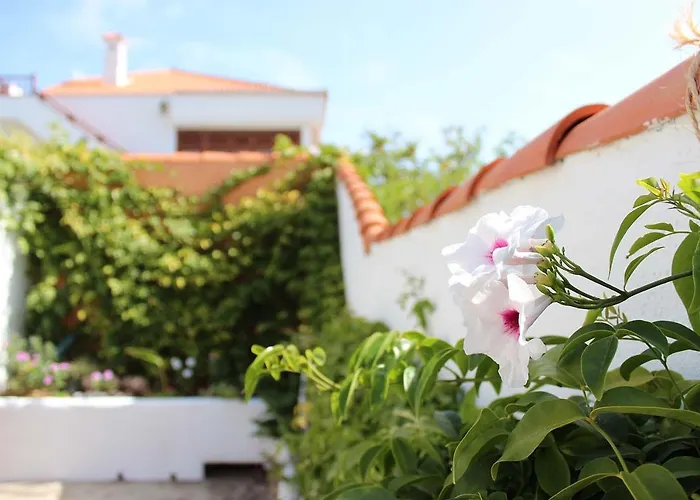 Daire Casa Palitos