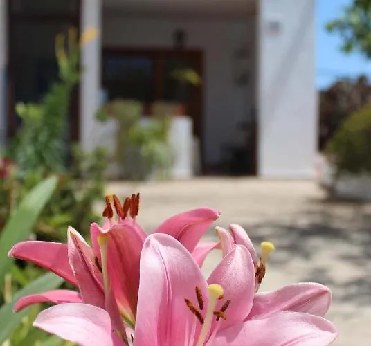 Casa Palitos Daire Monte de Brena